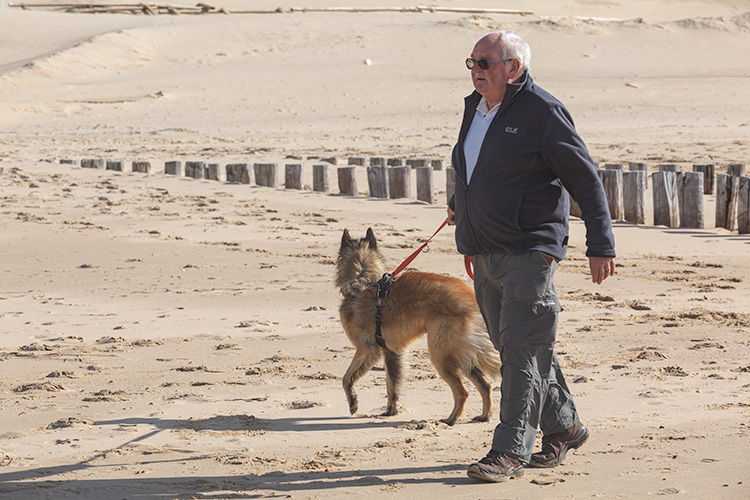 Wandeling Dishoek